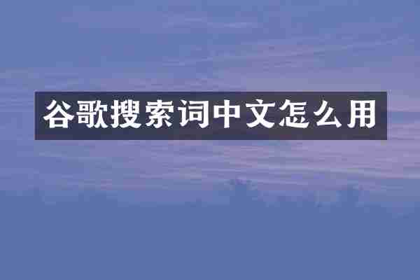 谷歌搜索词中文怎么用