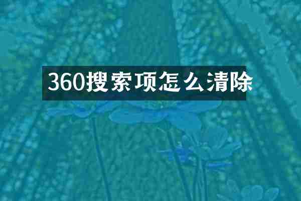 360搜索项怎么清除