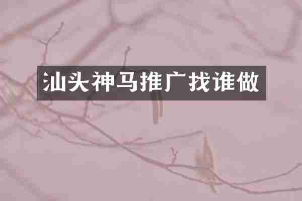 汕头神马推广找谁做