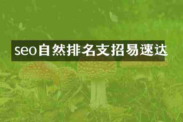 seo自然排名支招易速达
