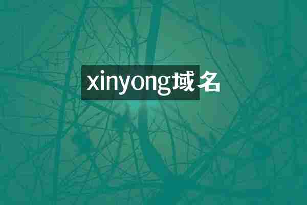 xinyong域名