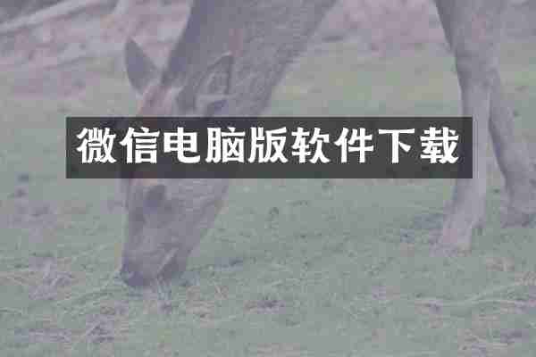微信电脑版软件下载