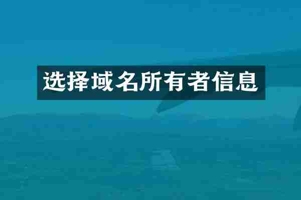 选择域名所有者信息