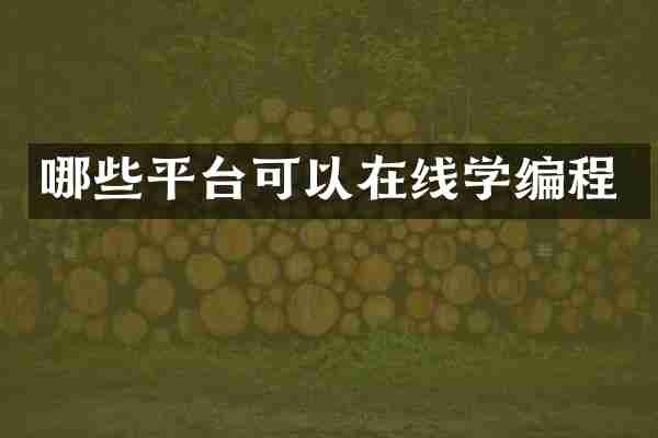 哪些平台可以在线学编程