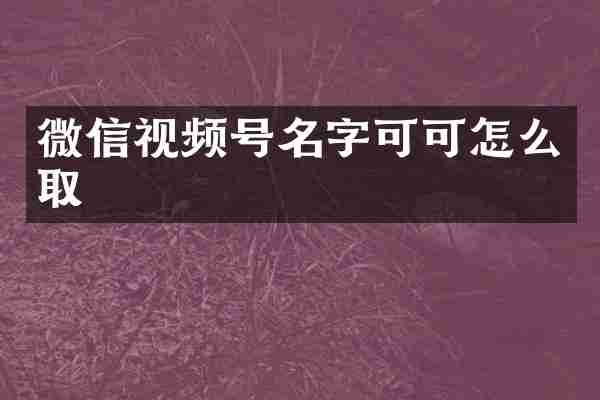 微信视频号名字可可怎么取