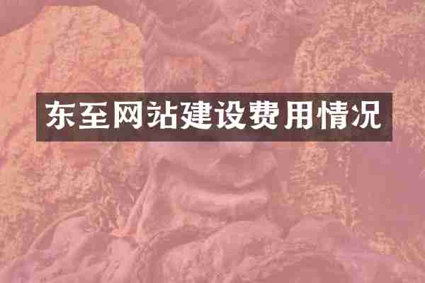 东至网站建设费用情况