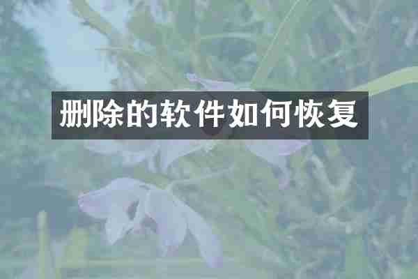 删除的软件如何恢复