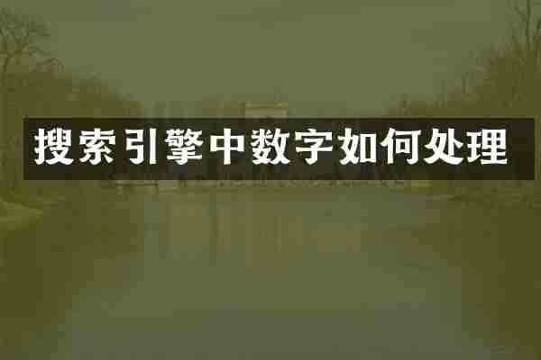 搜索引擎中数字如何处理
