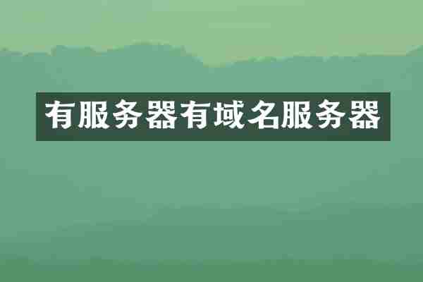 有服务器有域名服务器