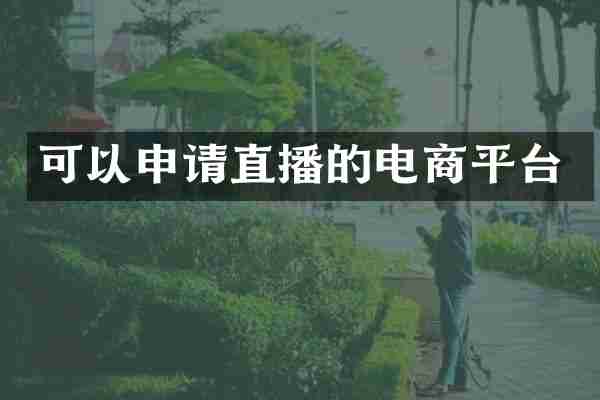 可以申请直播的电商平台