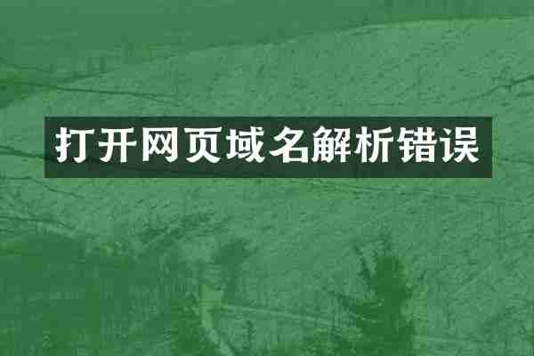 打开网页域名解析错误