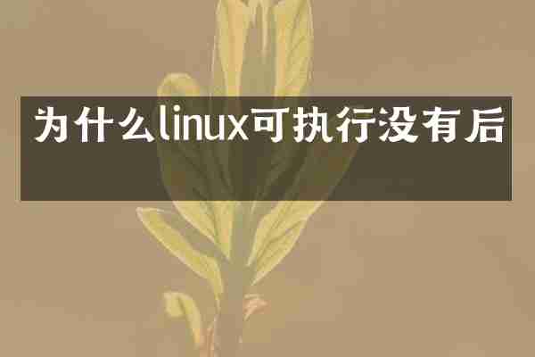 为什么linux可执行没有后缀