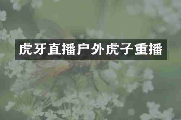 虎牙直播户外虎子重播