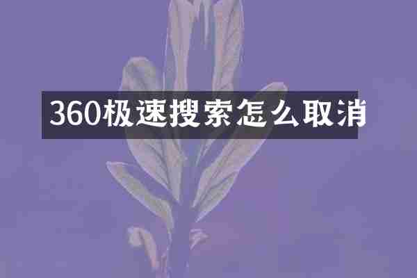 360极速搜索怎么取消