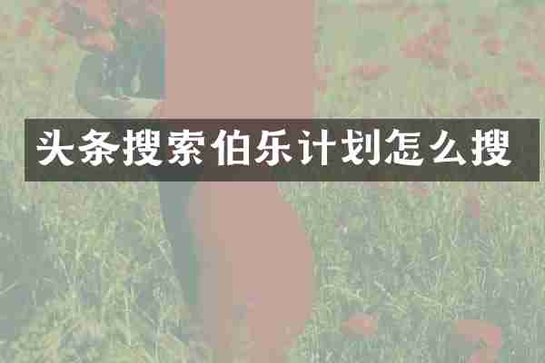 头条搜索伯乐计划怎么搜