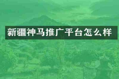 新疆神马推广平台怎么样