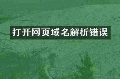 打开网页域名解析错误