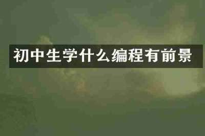 初中生学什么编程有前景
