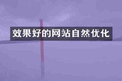 效果好的网站自然优化
