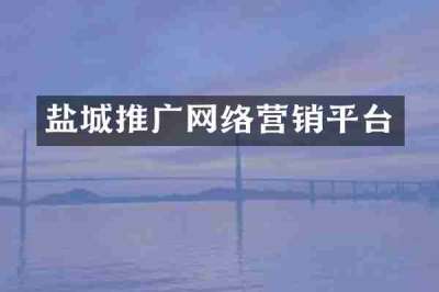 盐城推广网络营销平台