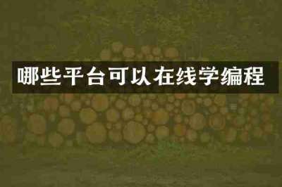 哪些平台可以在线学编程