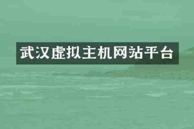 武汉虚拟主机网站平台
