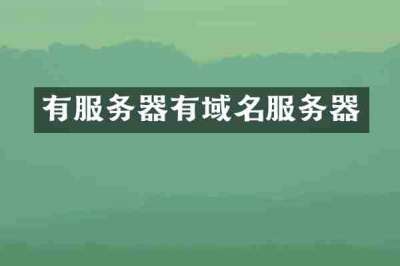 有服务器有域名服务器