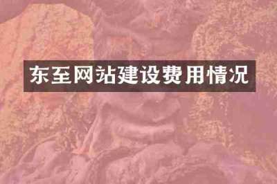 东至网站建设费用情况