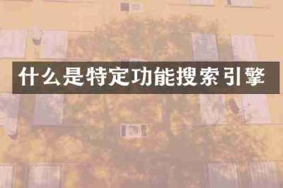 什么是特定功能搜索引擎