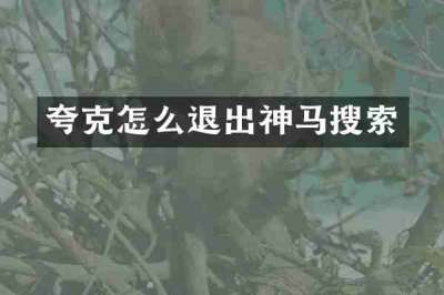 夸克怎么退出神马搜索