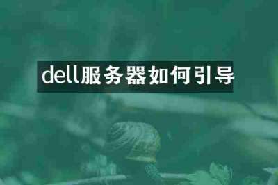 dell服务器如何引导