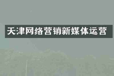 天津网络营销新媒体运营