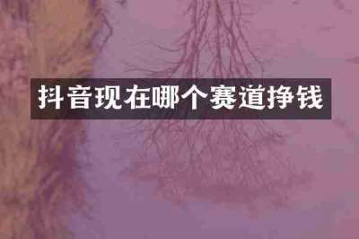 抖音现在哪个赛道挣钱