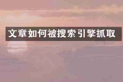 文章如何被搜索引擎抓取