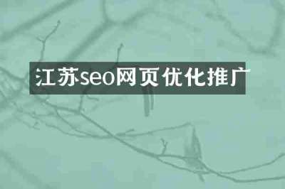江苏seo网页优化推广