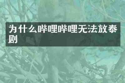 为什么哔哩哔哩无法放泰剧