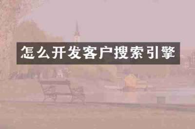 怎么开发客户搜索引擎
