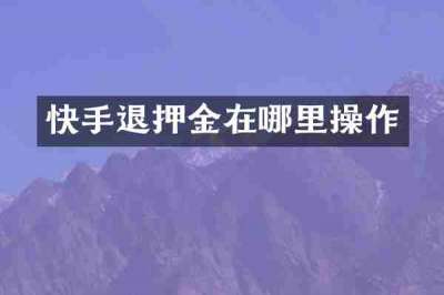 快手退押金在哪里操作