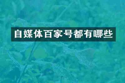自媒体百家号都有哪些