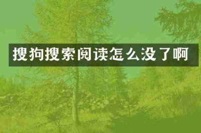 搜狗搜索阅读怎么没了啊