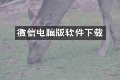 微信电脑版软件下载