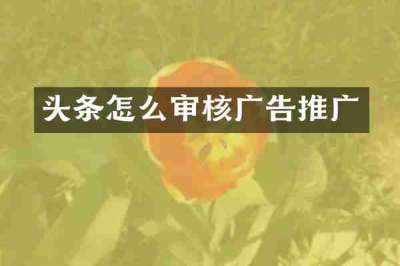 头条怎么审核广告推广