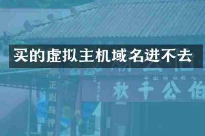 买的虚拟主机域名进不去