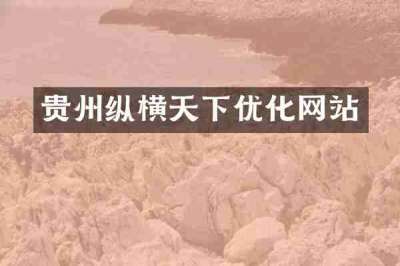 贵州纵横天下优化网站