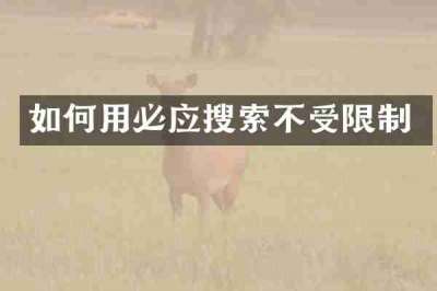 如何用必应搜索不受限制