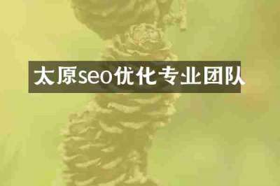 太原seo优化专业团队