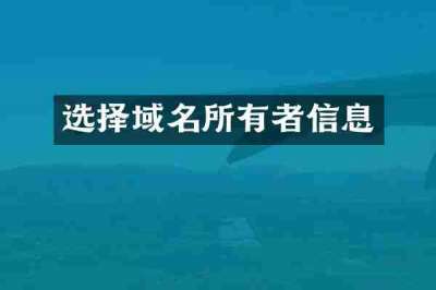 选择域名所有者信息