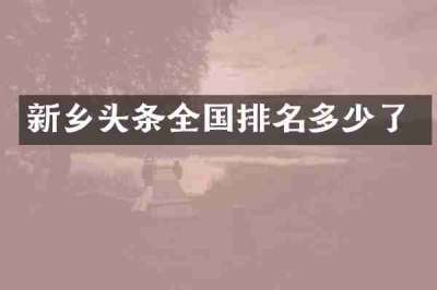 新乡头条全国排名多少了