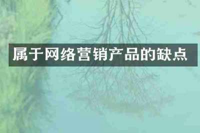 属于网络营销产品的缺点