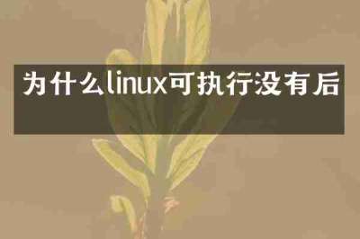 为什么linux可执行没有后缀